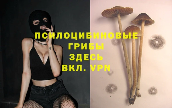 трава Аркадак