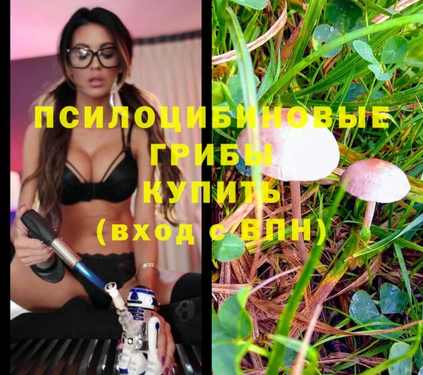 прущая мука Баксан