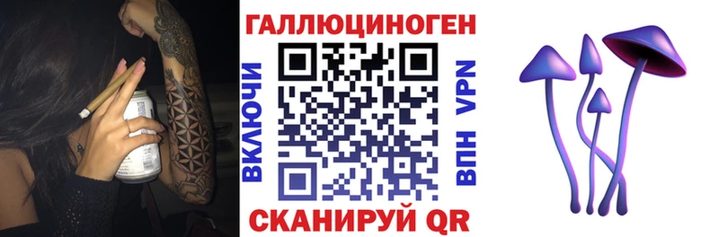 цены   Орлов  Галлюциногенные грибы Psilocybe 